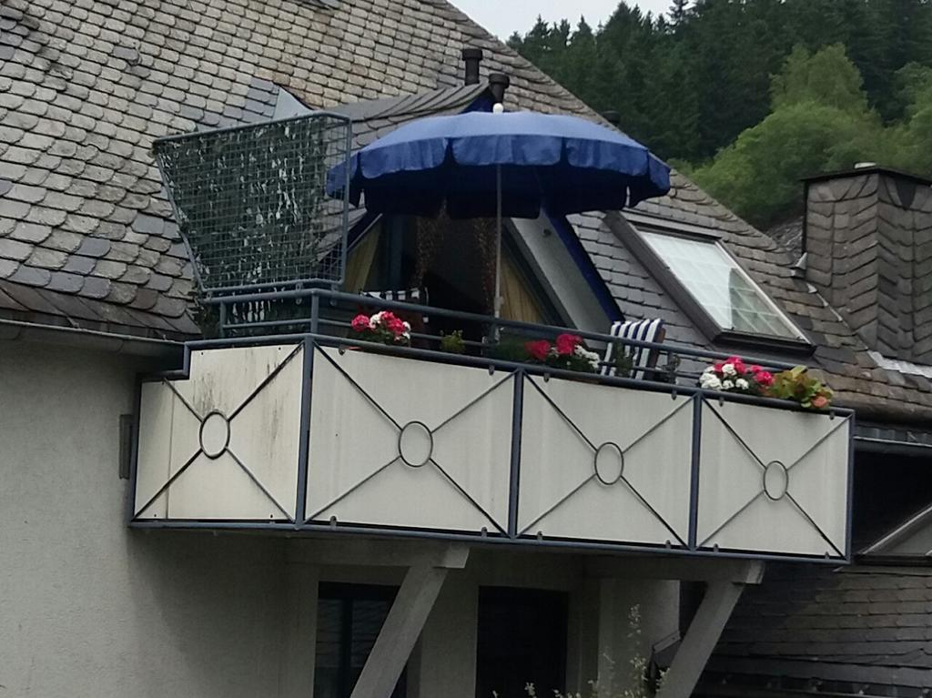 شقة Haus Elsholz Willingen فيلنغن المظهر الخارجي الصورة